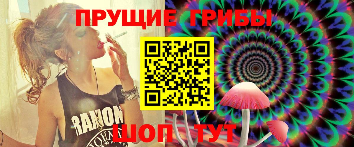 Всеволожск  Галлюциногенные грибы MAGIC MUSHROOMS  Вход с VPN 
